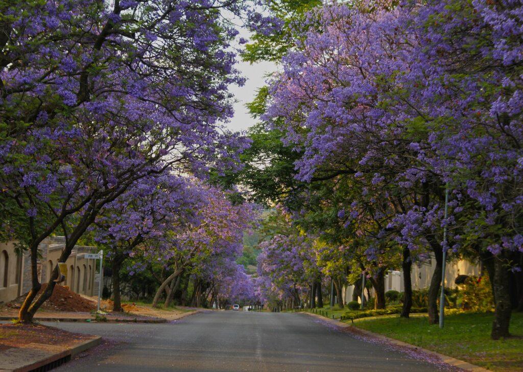Bryanston
